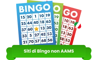 Bingo non AAMS